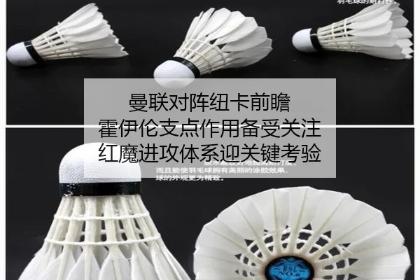 曼联对阵纽卡前瞻 霍伊伦支点作用备受关注 红魔进攻体系迎关键考验